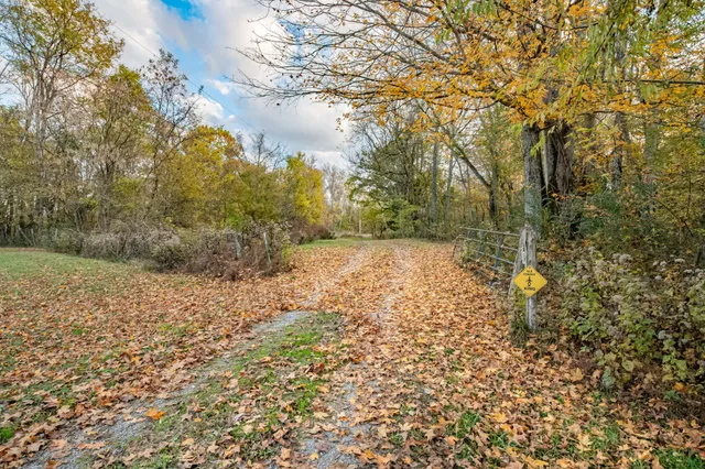 a view of a yard with a tree
