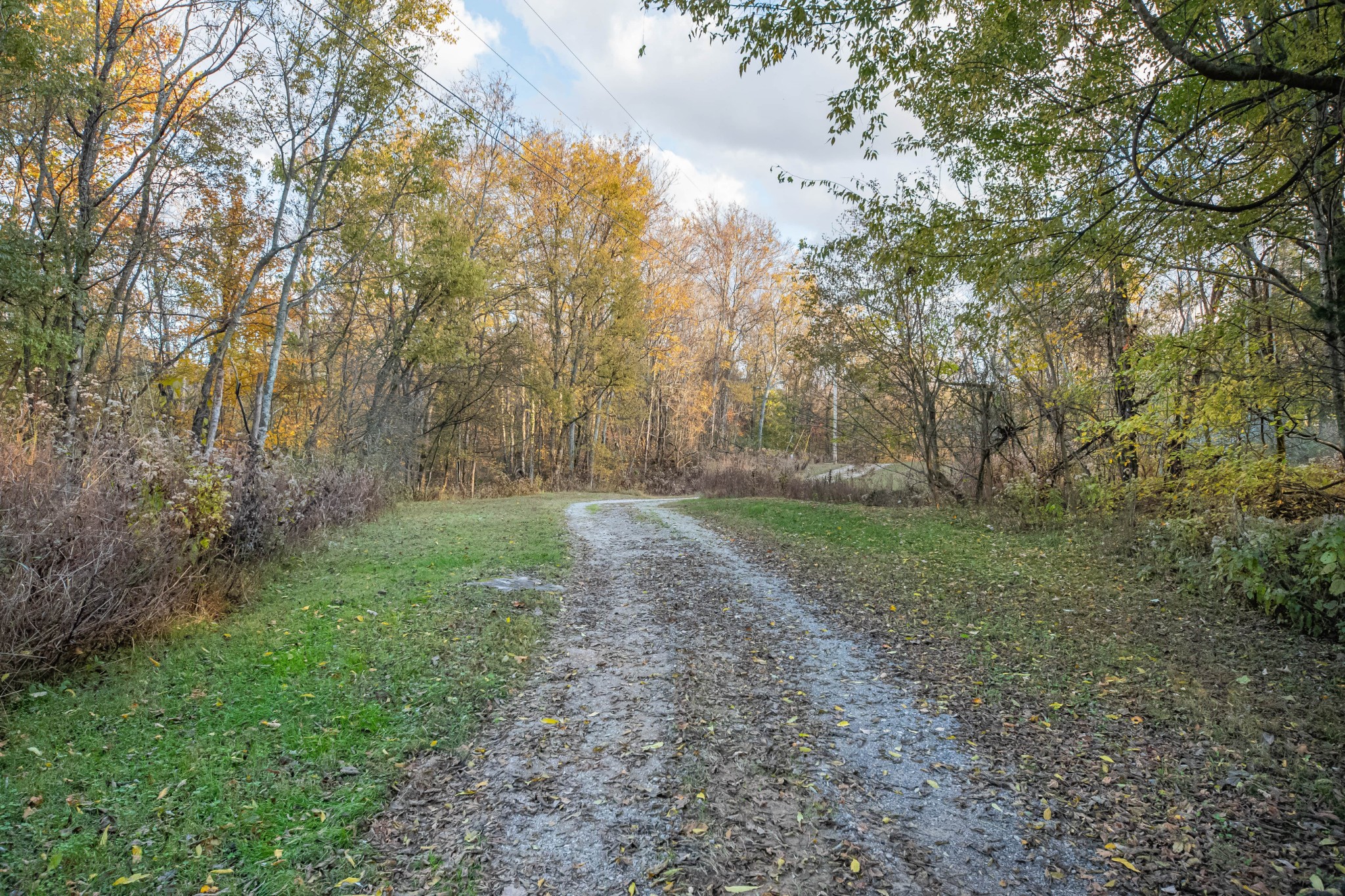 1916 Mack Benderman Road Culleoka, TN 38451 - Photo 34 of 61 a view of a yard with a tree