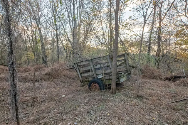 a view of backyard of house with green space