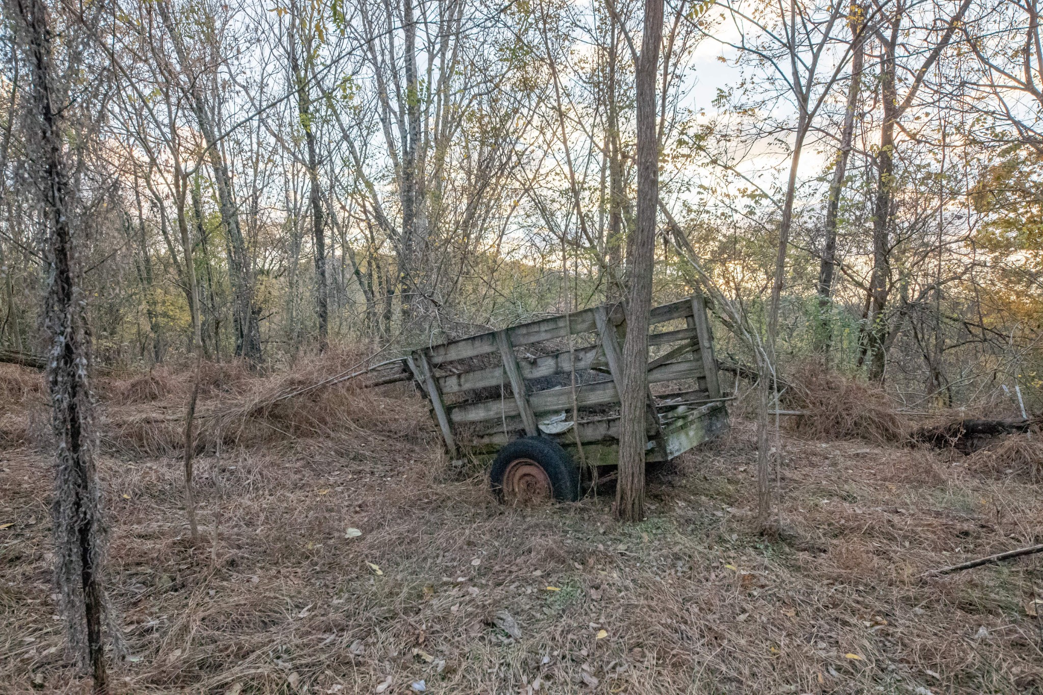 1916 Mack Benderman Road Culleoka, TN 38451 - Photo 46 of 61