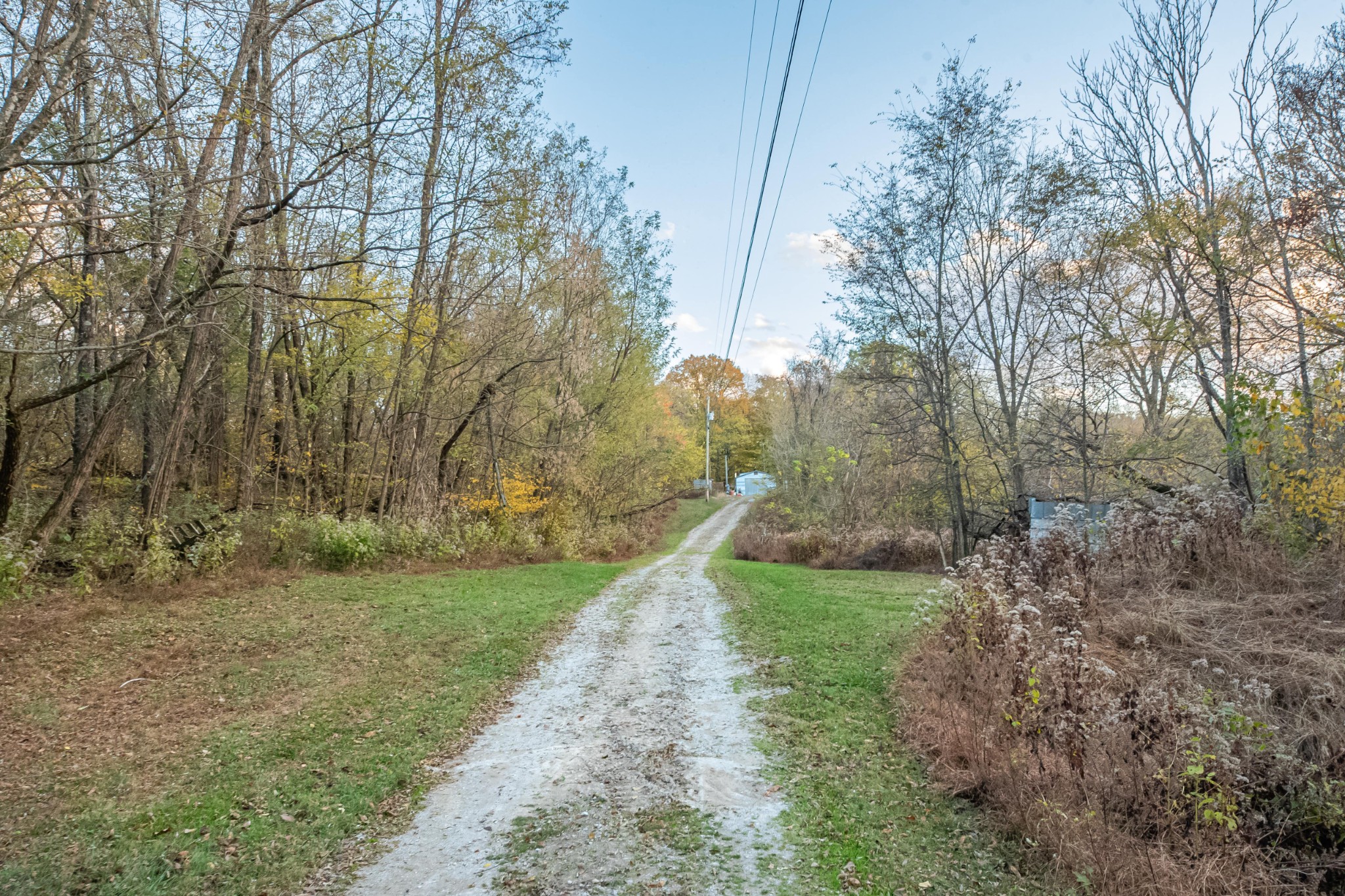 1916 Mack Benderman Road Culleoka, TN 38451 - Photo 53 of 61 a view of a yard with large trees