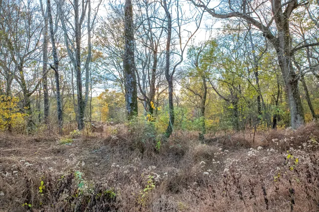 $250,000 | 1916 Mack Benderman Road, Culleoka, TN 38451