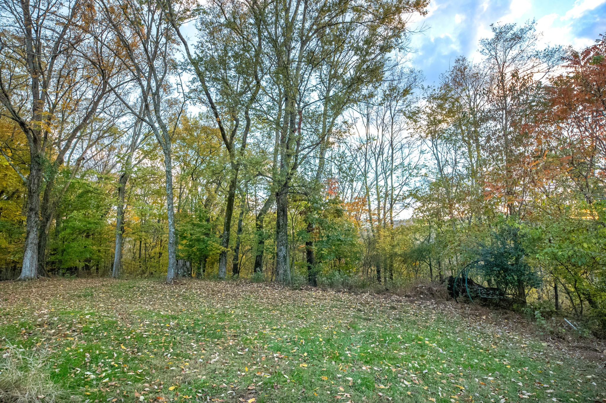 1916 Mack Benderman Road Culleoka, TN 38451 - Photo 60 of 61 a view of outdoor space and green space