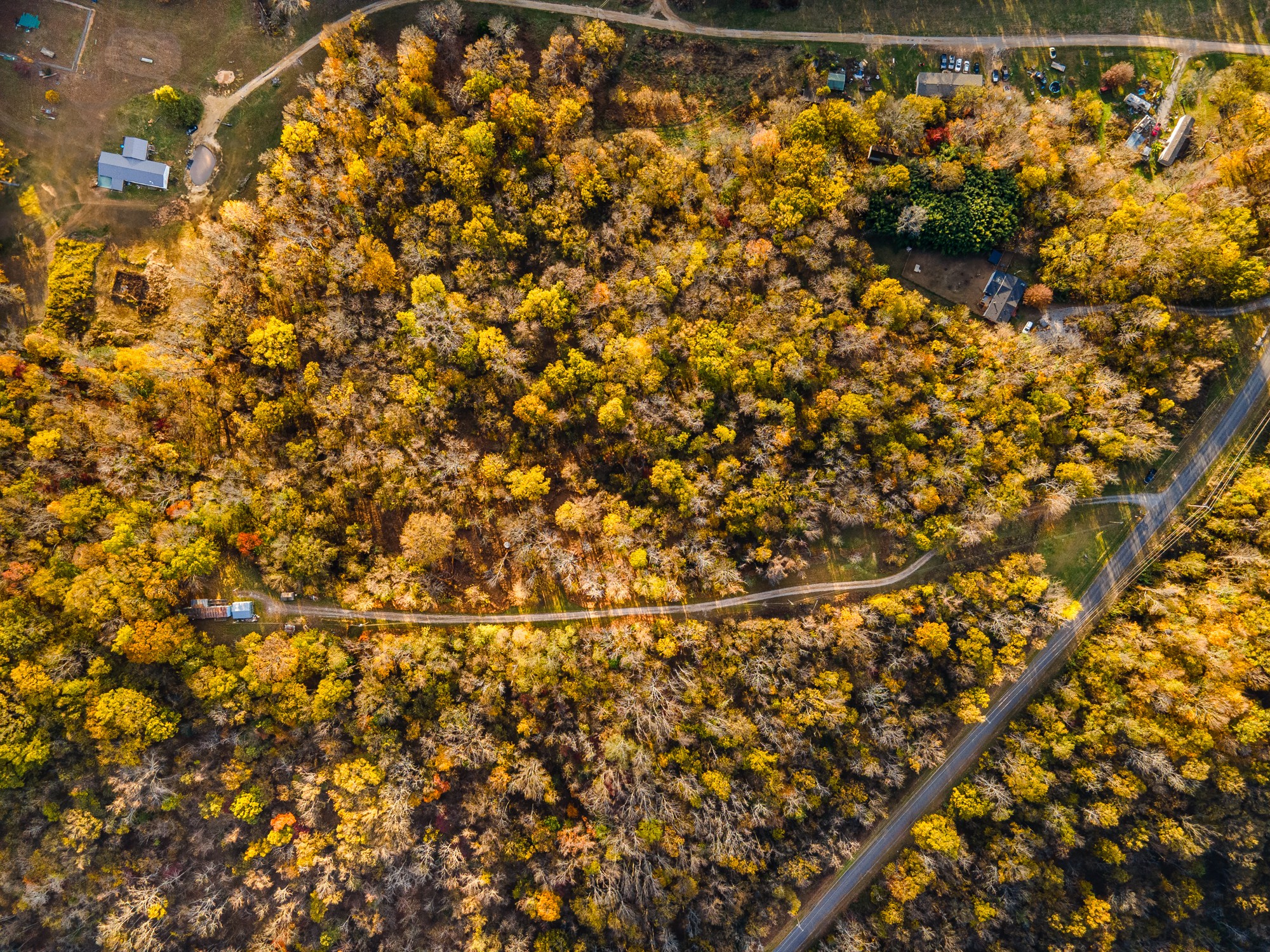 1916 Mack Benderman Road Culleoka, TN 38451 - Photo 6 of 61 a close up of a plant