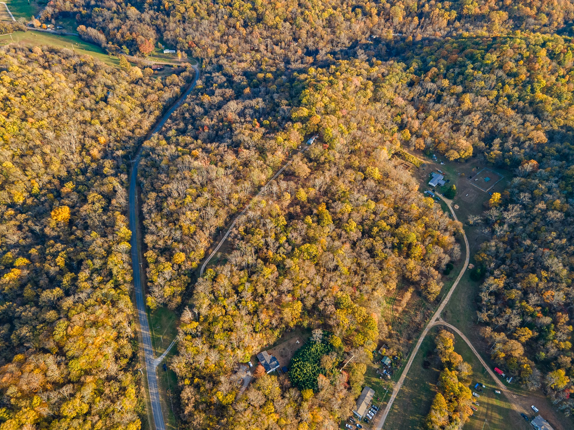 1916 Mack Benderman Road Culleoka, TN 38451 - Photo 7 of 61 a close up of a plant