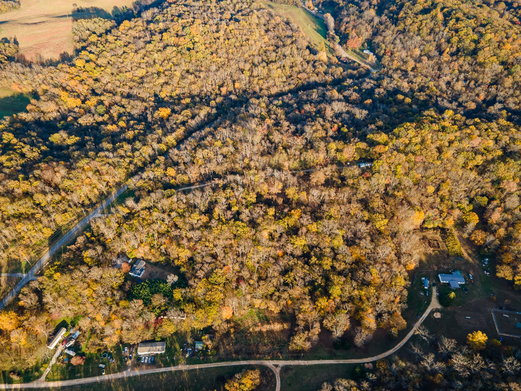 1916 Mack Benderman Road Culleoka, TN 38451 - Photo 8 of 61 a picture of a tree