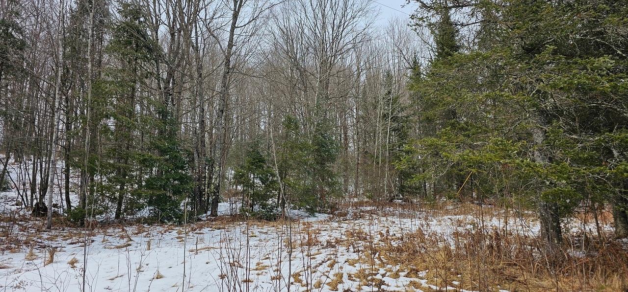 Lot Q Hoefferle Road Park Falls, WI 54552 - Photo 18 of 18 Gallery Image 18