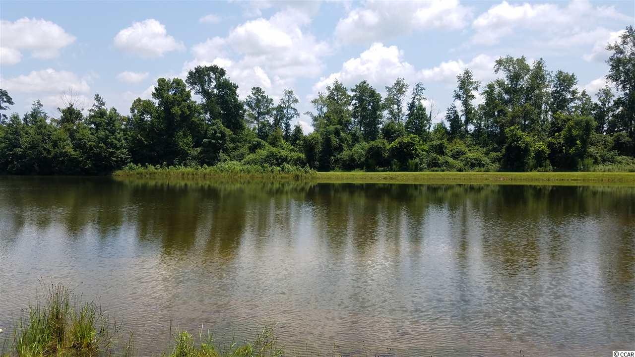 242 Stephanie Loop Hemingway, SC 29554 - Photo 22 of 24