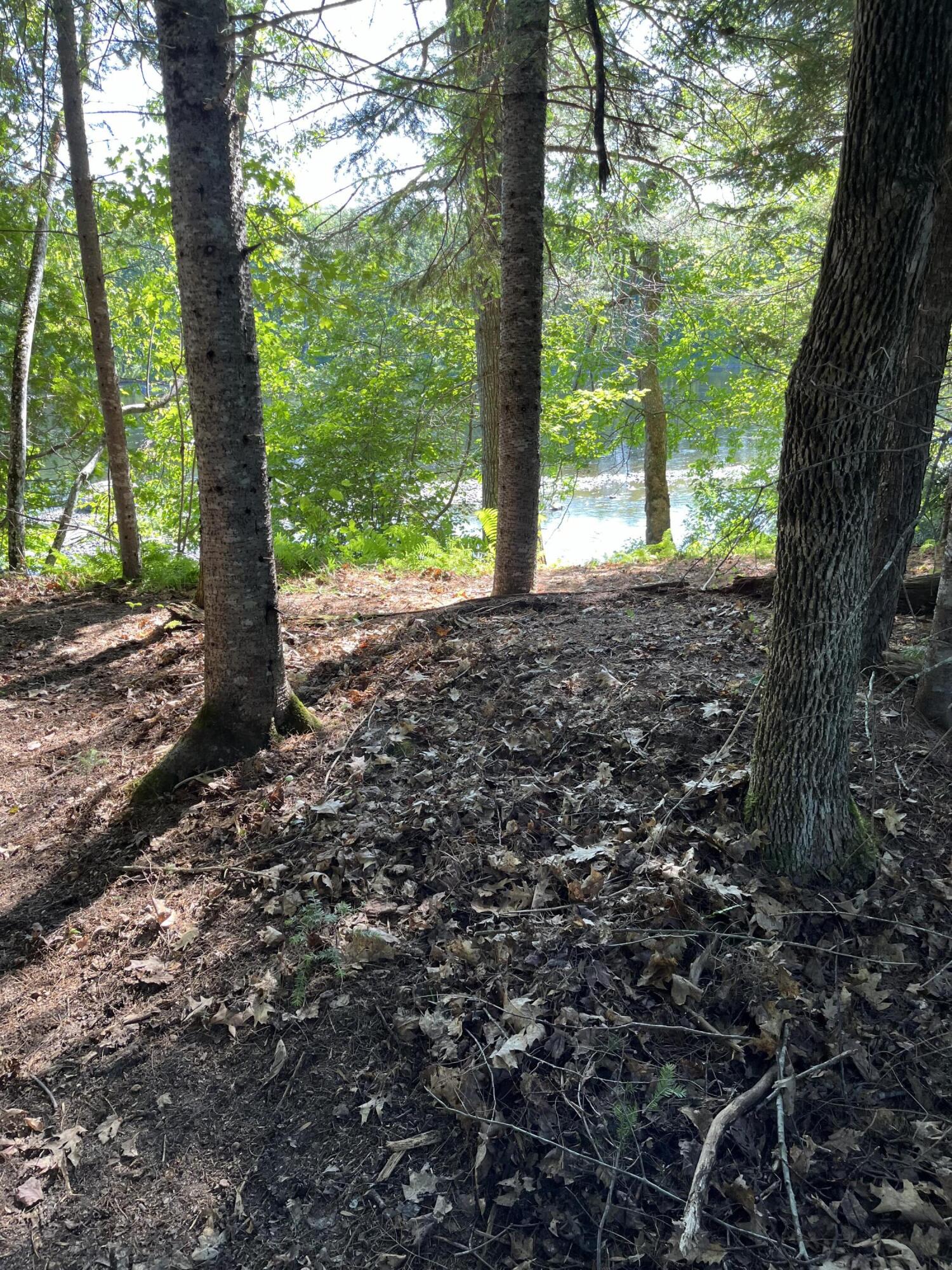 Lot 4 West Indian Road Lincoln, ME 04457 - Photo 7 of 29