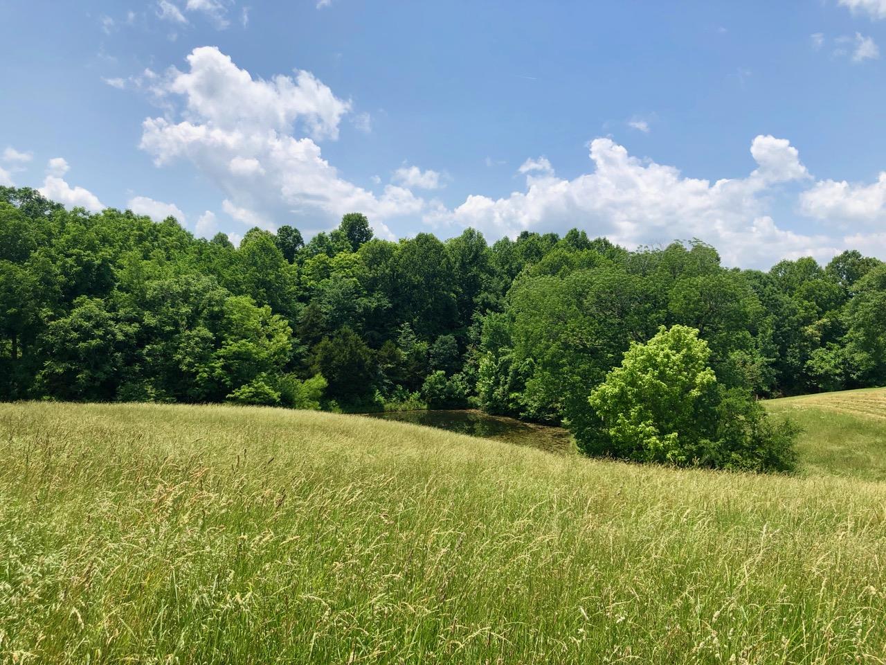 3494 Union Camp Road Lafayette, TN 37083 - Photo 1 of 14 Gorgeous, gently rolling tract! About 3 acres of hay ground/pasture and 2 beautiful ponds!