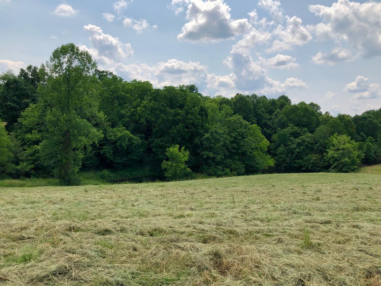3494 Union Camp Road Lafayette, TN 37083 - Photo 11 of 14 Gallery Image 11