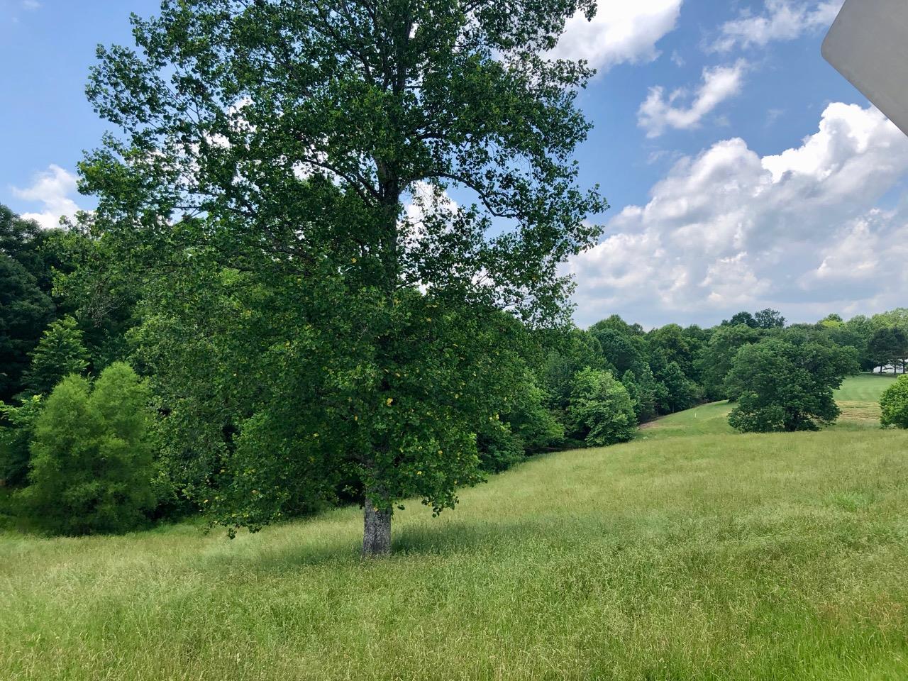 3494 Union Camp Road Lafayette, TN 37083 - Photo 13 of 14 Gallery Image 13