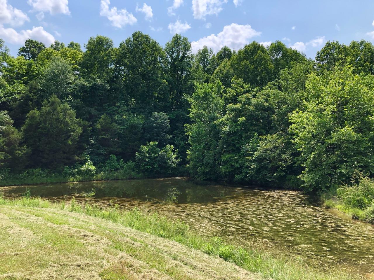 3494 Union Camp Road Lafayette, TN 37083 - Photo 14 of 14 Are there fish here?