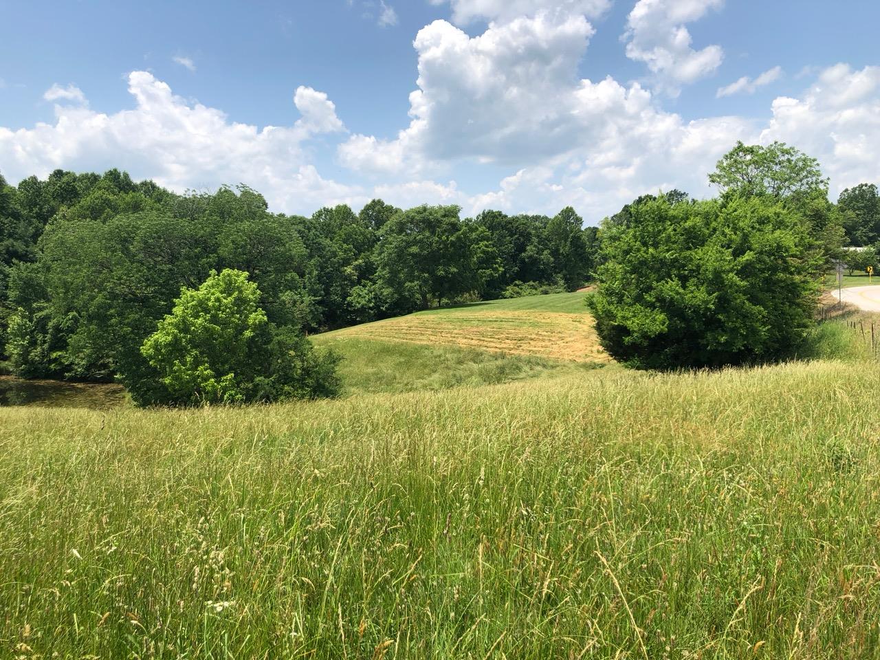 3494 Union Camp Road Lafayette, TN 37083 - Photo 2 of 14 Gallery Image 2