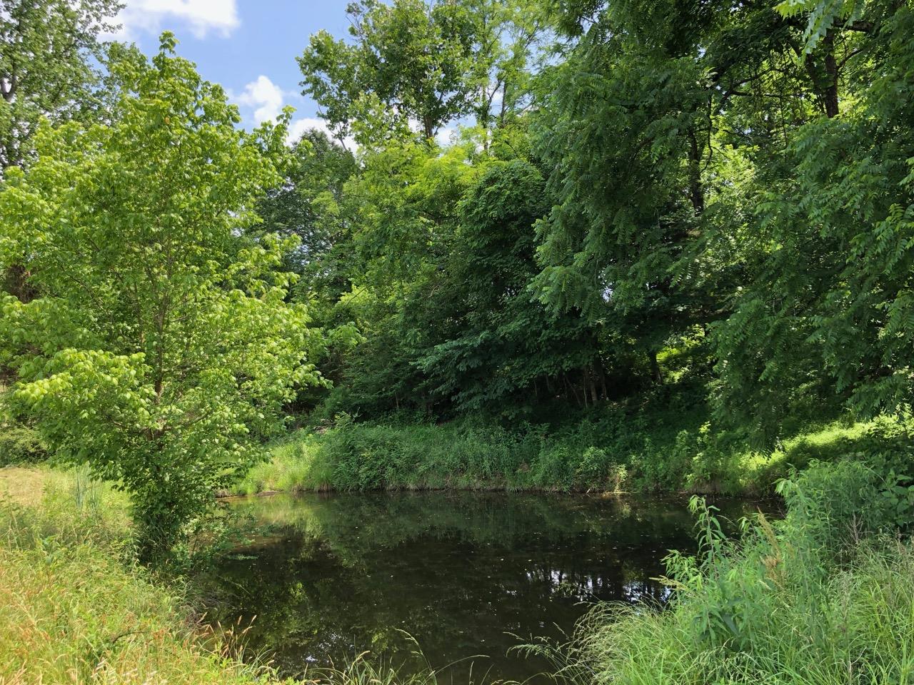 3494 Union Camp Road Lafayette, TN 37083 - Photo 4 of 14 Smaller pond