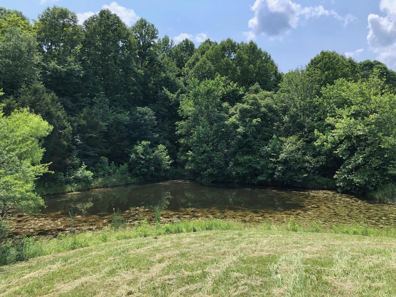 3494 Union Camp Road Lafayette, TN 37083 - Photo 5 of 14 Largest pond is about .40 of an acres. Never have witnessed it getting low.
