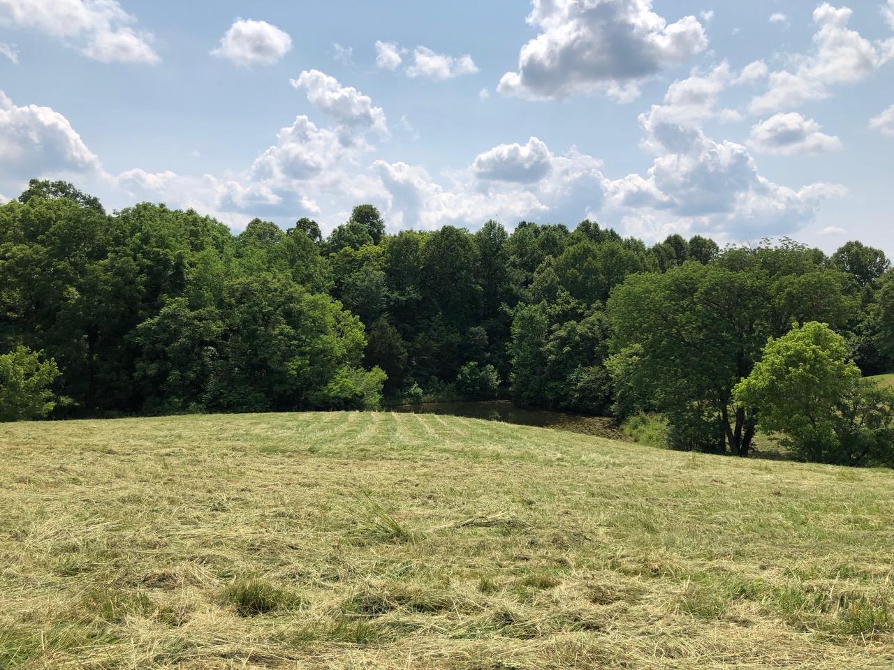 3494 Union Camp Road Lafayette, TN 37083 - Photo 10 of 14 Gallery Image 10