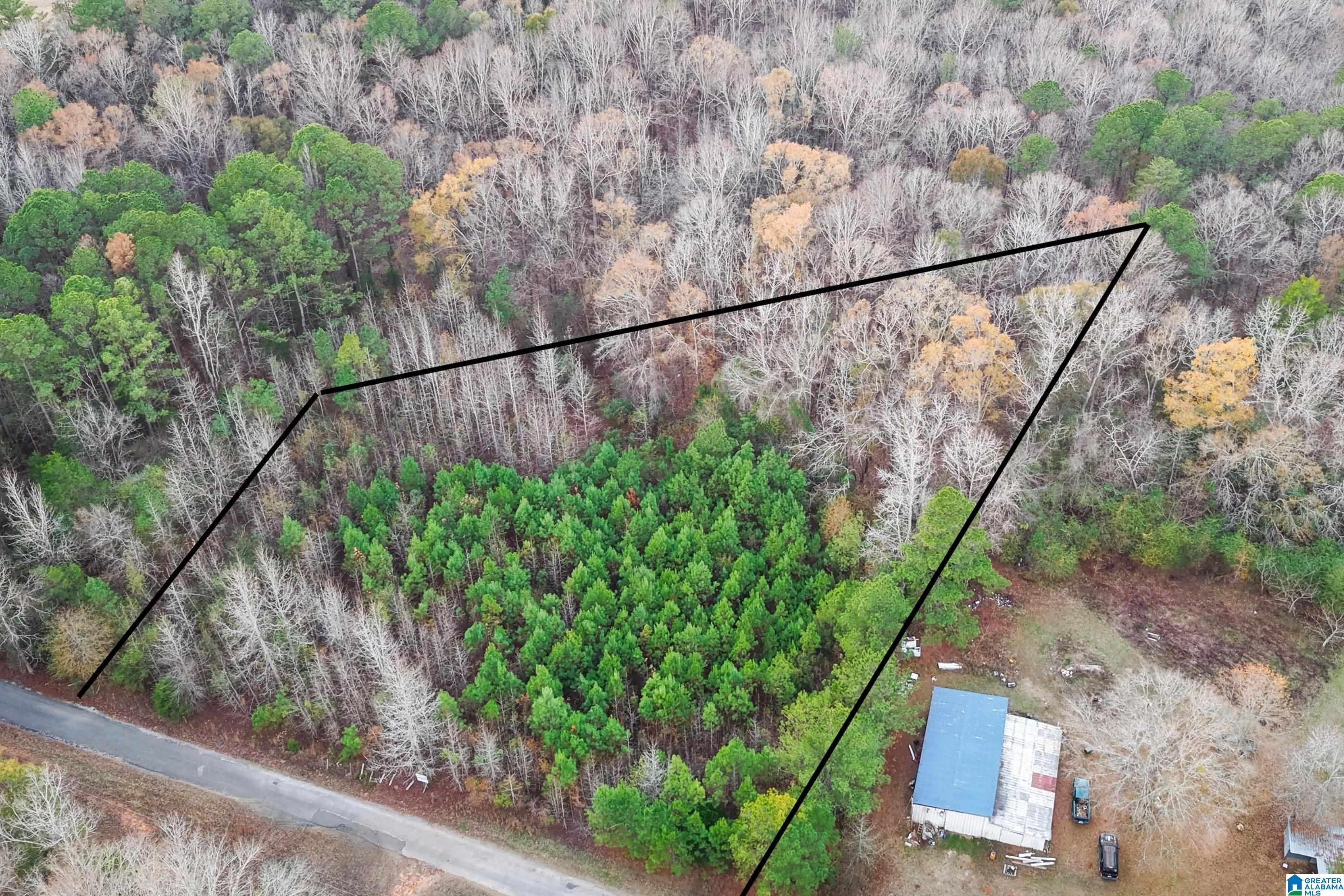 1830 Pine Tree Road Centreville, AL 35042 - Photo 1 of 11