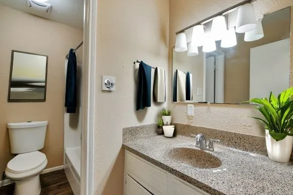 a bathroom with a granite countertop sink and a toilet