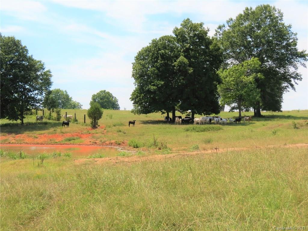 25-ac Percival Road Rock Hill, SC 29730 - Photo 5 of 14