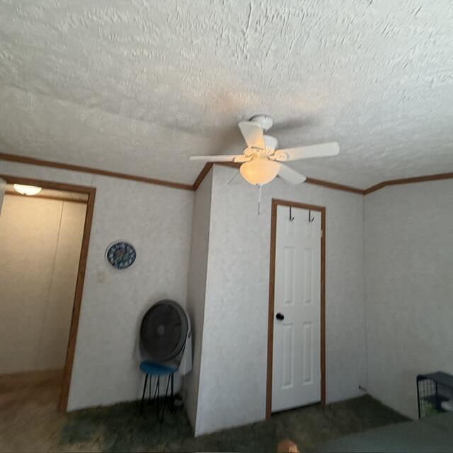 320 Cross Road Alna, ME 04535 - Photo 11 of 32 IMG_5452