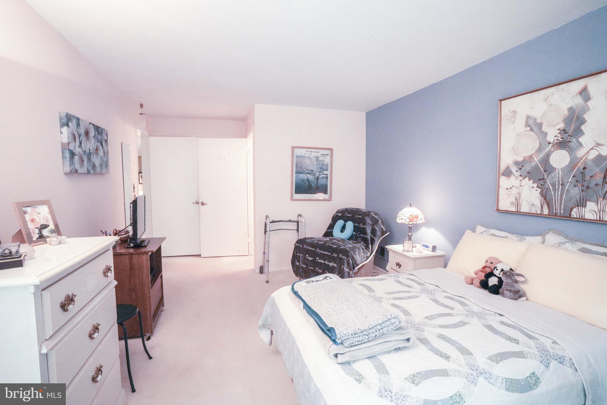 381 Silvia Street Ewing, NJ 08628 - Photo 17 of 20 Primary Bedroom has walk in closet