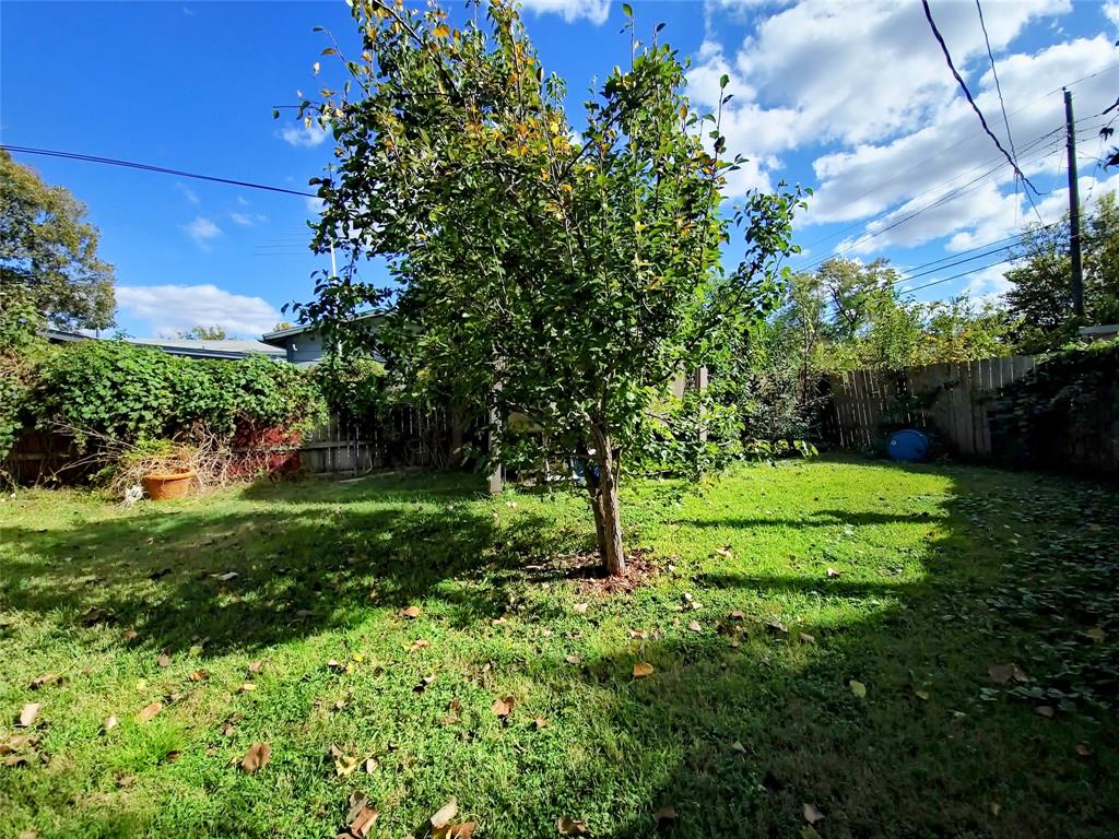 140 Meadowbrook Street Robinson, TX 76706 - Photo 2 of 37 a view of a backyard with plants and a bench