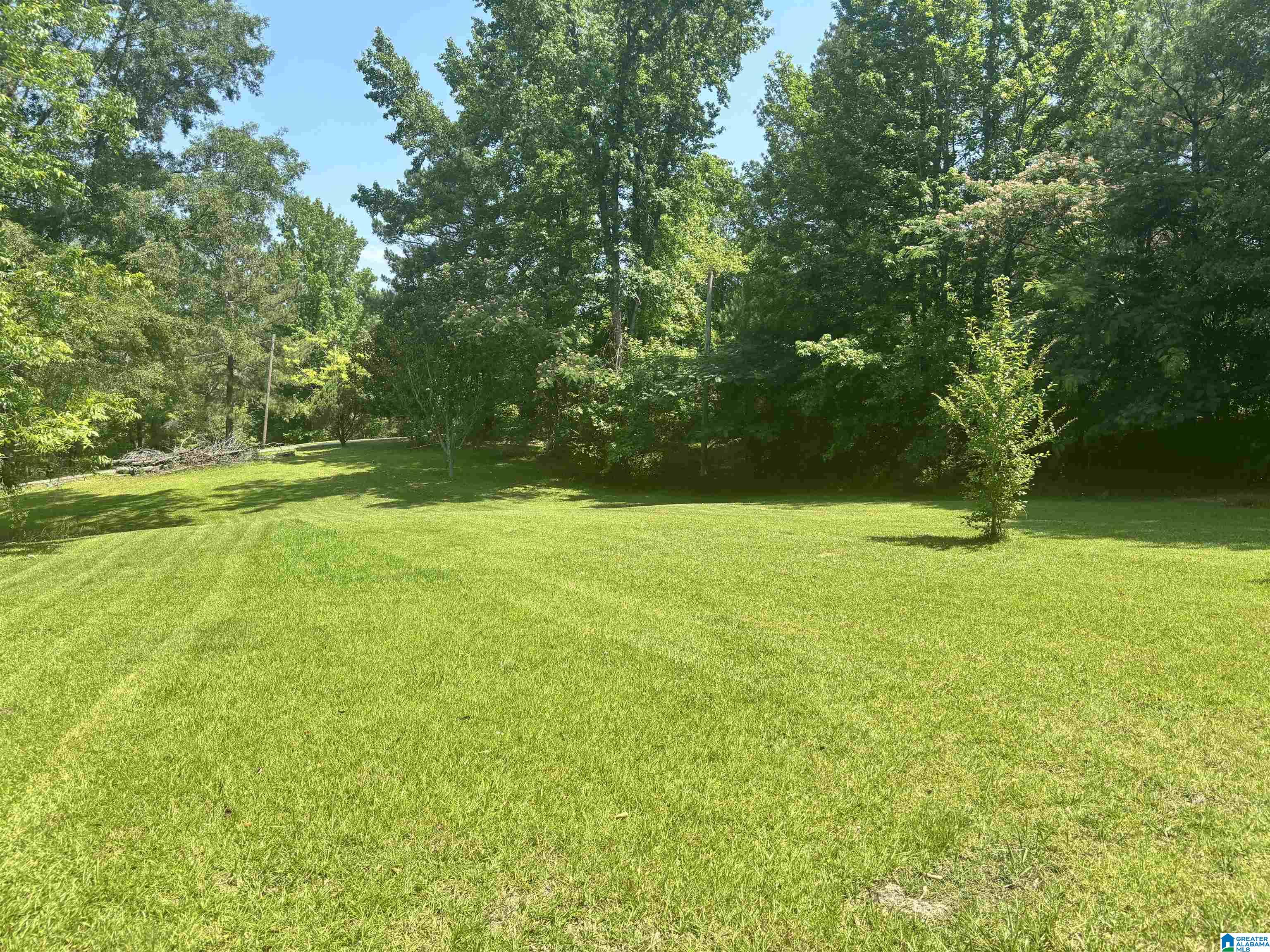 2910 Chelsea Road Columbiana, AL 35051 - Photo 23 of 26 Gallery Image 23
