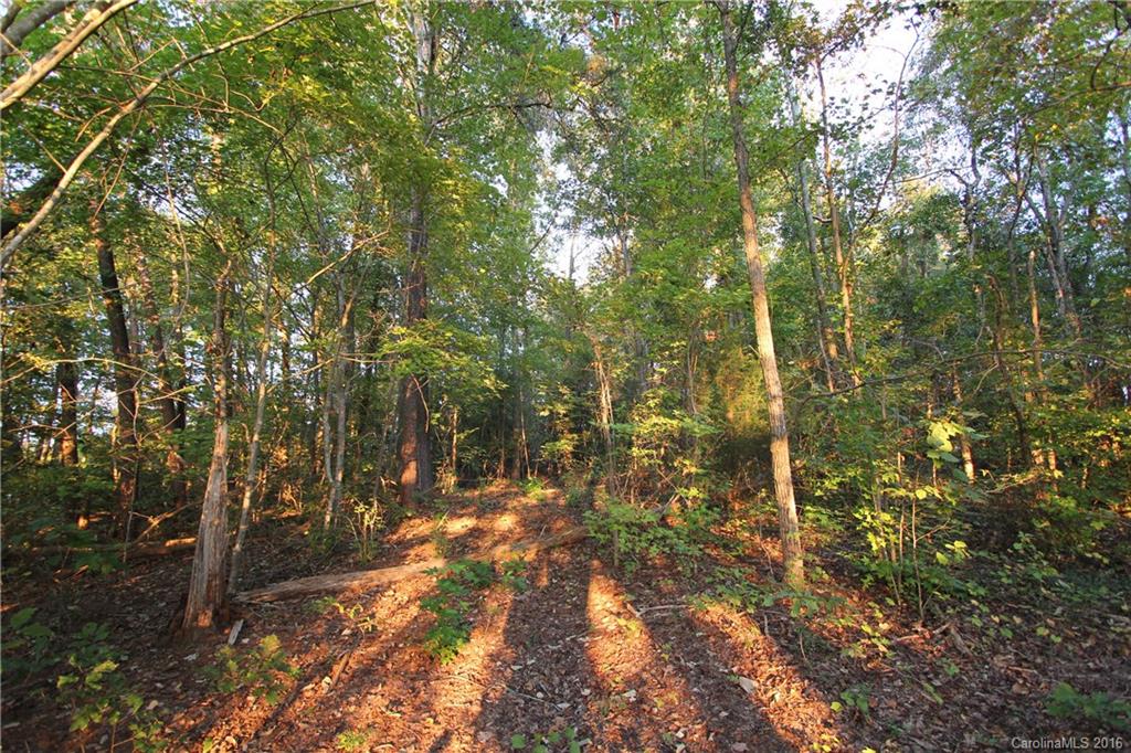 1.35 Ingram Mill Road Ellerbe, NC 28338 - Photo 11 of 11 Gallery Image 11