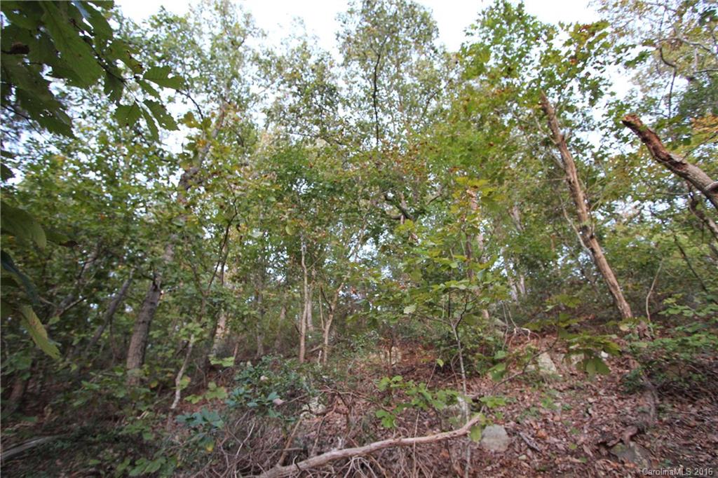 1.35 Ingram Mill Road Ellerbe, NC 28338 - Photo 5 of 11 Gallery Image 5