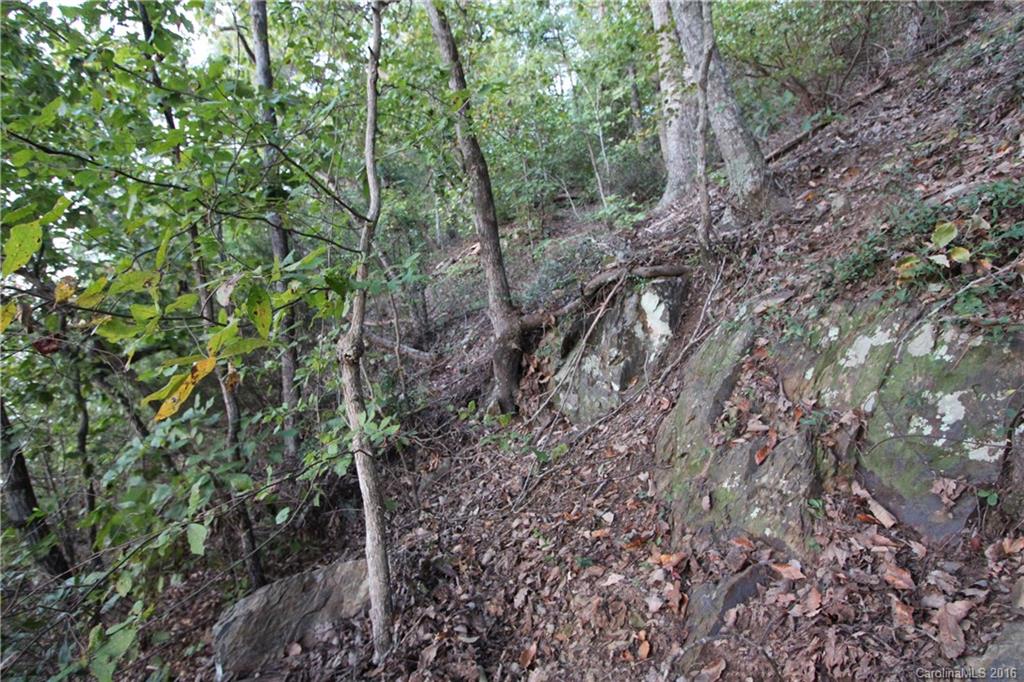 1.35 Ingram Mill Road Ellerbe, NC 28338 - Photo 7 of 11 Gallery Image 7