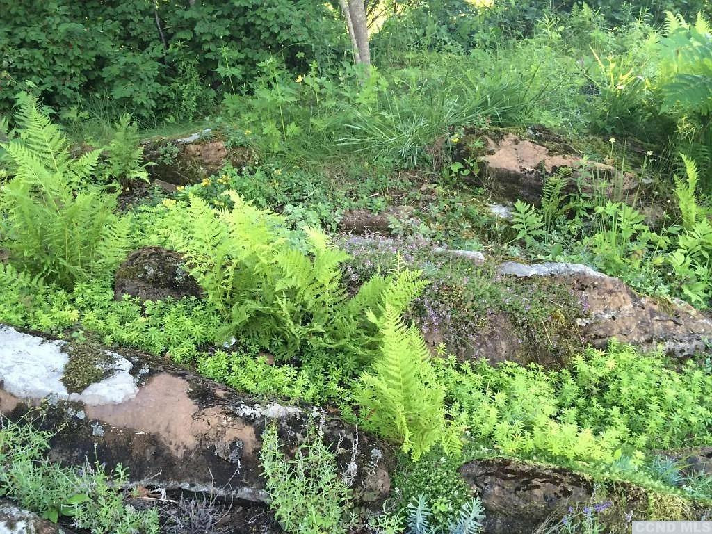 56 Beebe Pond Road Canaan, NY 12029 - Photo 32 of 50 a view of a garden with plants