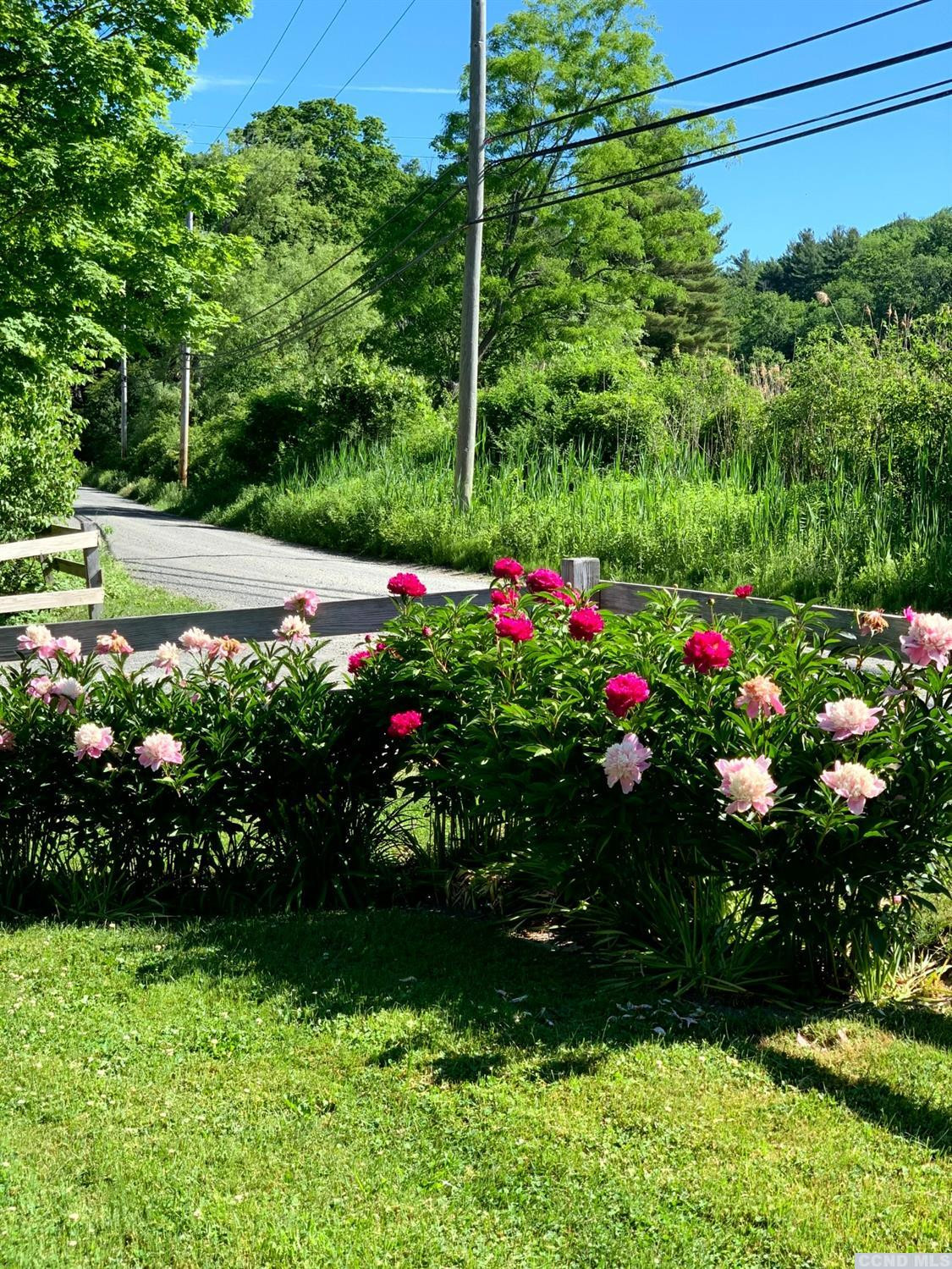 56 Beebe Pond Road Canaan, NY 12029 - Photo 34 of 50 a view of a garden with flowers