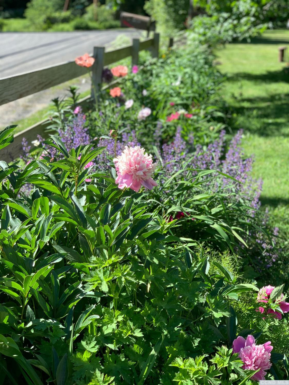 56 Beebe Pond Road Canaan, NY 12029 - Photo 35 of 50 a view of a flower in a garden
