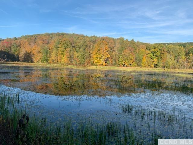 56 Beebe Pond Road Canaan, NY 12029 - Photo 50 of 50 a view of lake with mountain