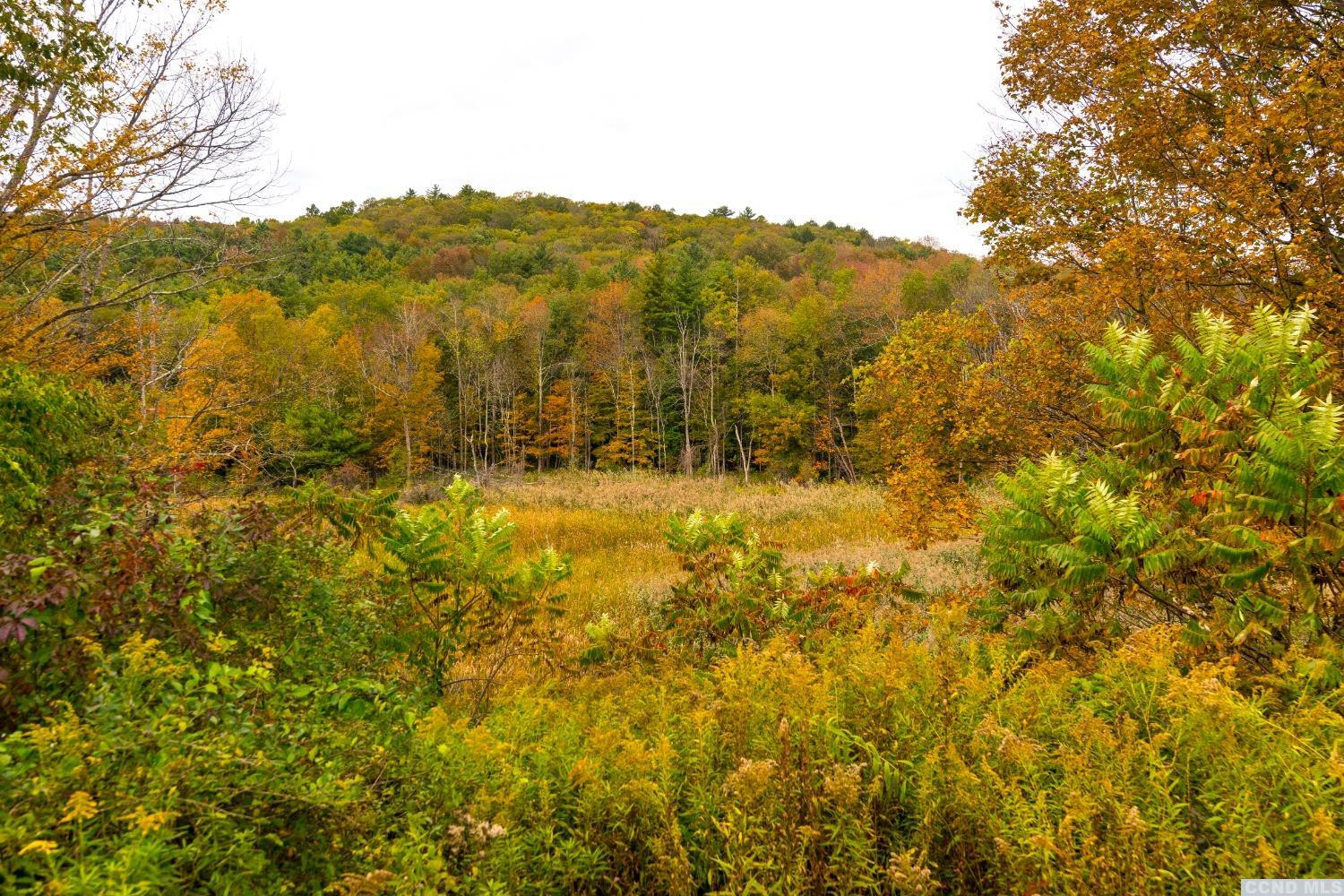 56 Beebe Pond Road Canaan, NY 12029 - Photo 5 of 50 a view of mountain view with mountains in the background