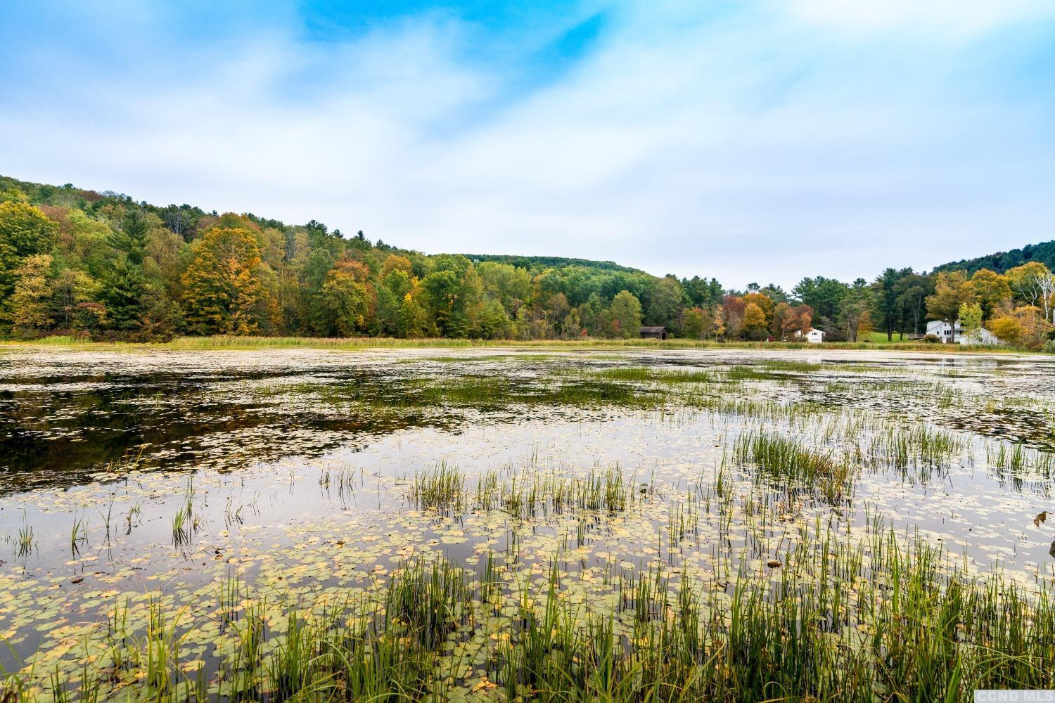 56 Beebe Pond Road Canaan, NY 12029 - Photo 6 of 50 a view of a lake view