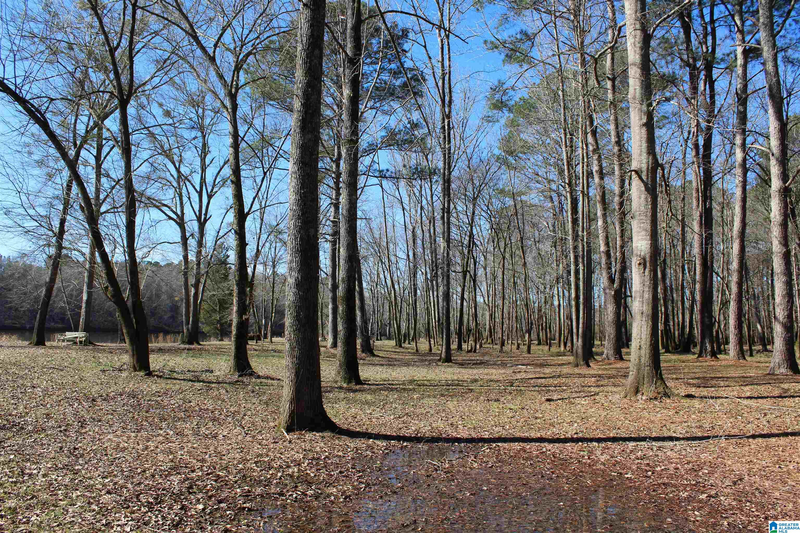 85 Brooks Road Ragland, AL 35131 - Photo 19 of 27