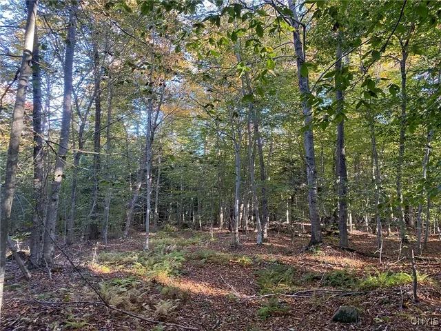 $89,900 | Voorhees Road, Parish, NY 13131