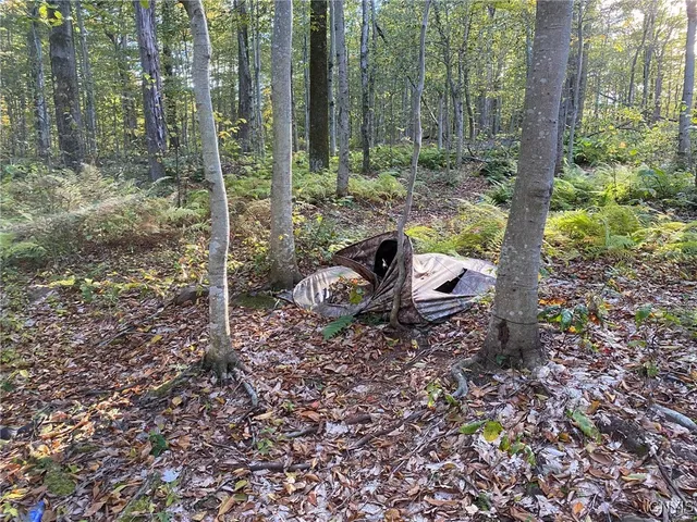 $89,900 | Voorhees Road, Parish, NY 13131