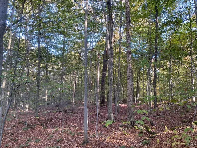 $89,900 | Voorhees Road, Parish, NY 13131