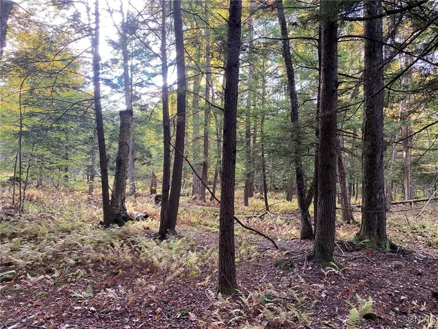 $89,900 | Voorhees Road, Parish, NY 13131