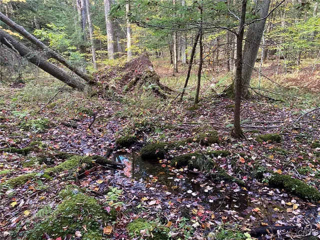 $89,900 | Voorhees Road, Parish, NY 13131