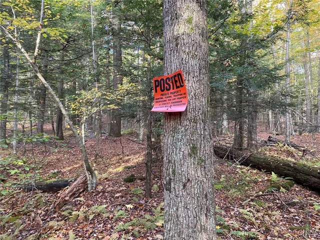 $89,900 | Voorhees Road, Parish, NY 13131