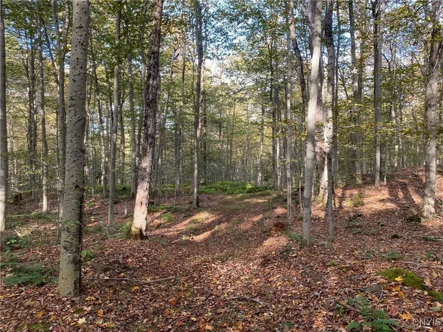 $89,900 | Voorhees Road, Parish, NY 13131