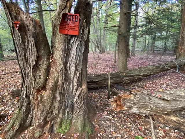 $89,900 | Voorhees Road, Parish, NY 13131