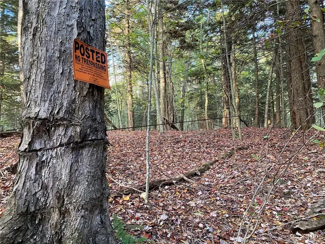 $89,900 | Voorhees Road, Parish, NY 13131