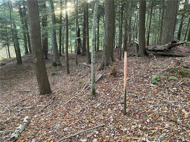 $89,900 | Voorhees Road, Parish, NY 13131