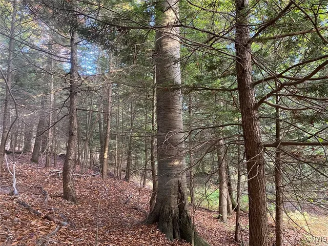 $89,900 | Voorhees Road, Parish, NY 13131