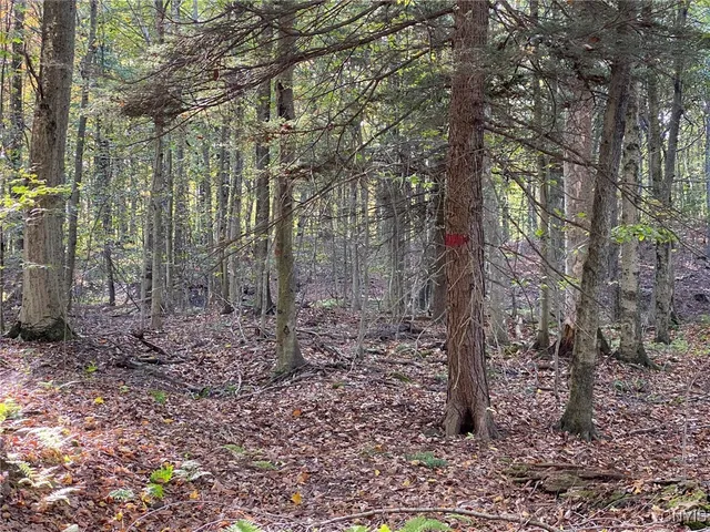 $89,900 | Voorhees Road, Parish, NY 13131